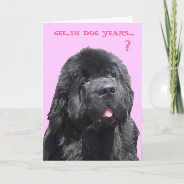 Birthday Card with Newfy (Front)