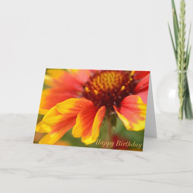 Birthday Card with Orange Flower (Front)