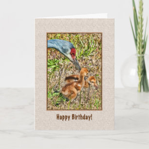 Birthday Card with Sandhill Cranes