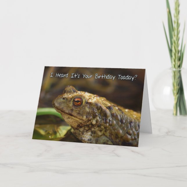 Birthday Card With Wild Toad Play On Words, Toaday (Front)