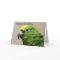 Birthday card Yellow Headed Amazon Parrot