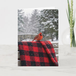 Birthday Cardinal On a Buffalo Plaid Blanket Card