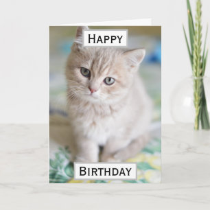 Birthday Cat Dad World's Best Ever Pet Photo Card