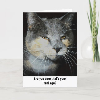 Birthday cat humour card