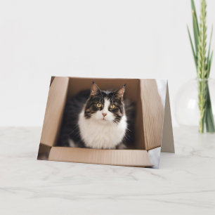 Birthday Cat in Cardboard Box Card