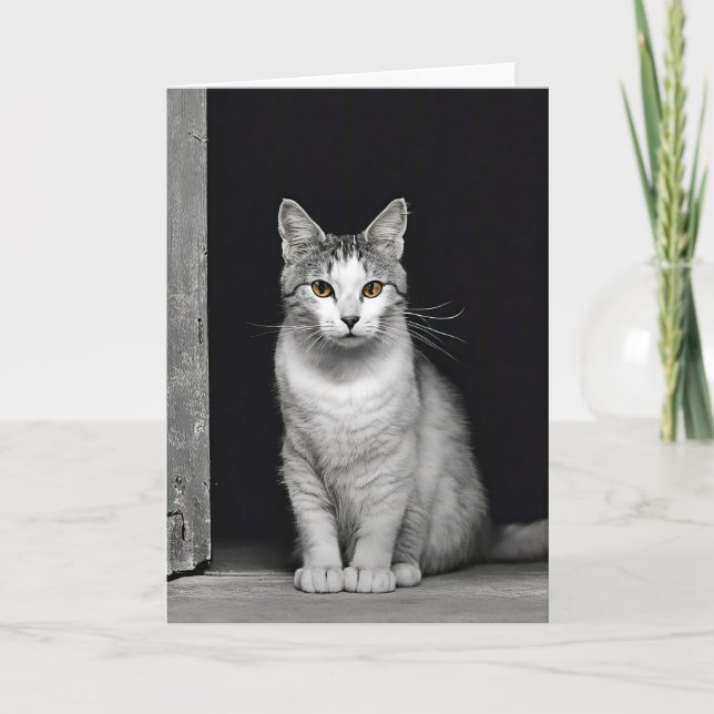 Birthday Cat in Doorway Card (Front)