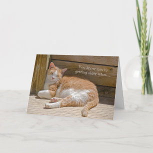 Birthday Cat Nap Card