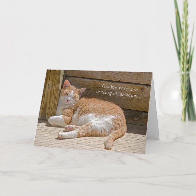 Birthday Cat Nap Card (Front)