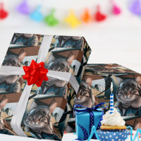 Birthday Cat Pilot & Aeroplane Cool Funny Aviation
