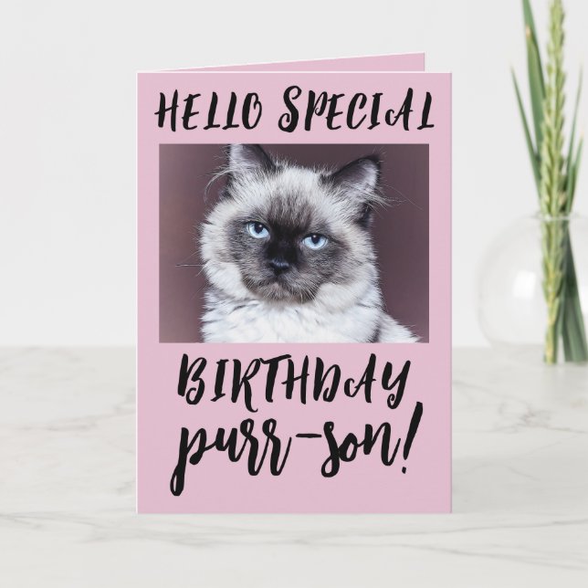  BIRTHDAY CAT SIAMESE PERSIAN GREETING CARD (Front)
