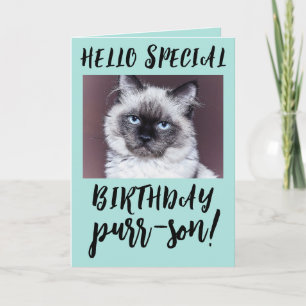 BIRTHDAY CAT SIAMESE PERSIAN GREETING CARD