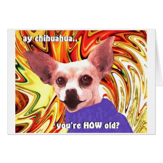 birthday chihuahua card