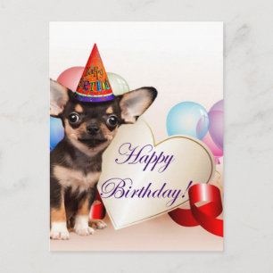 Birthday Chihuahua dog Postcard
