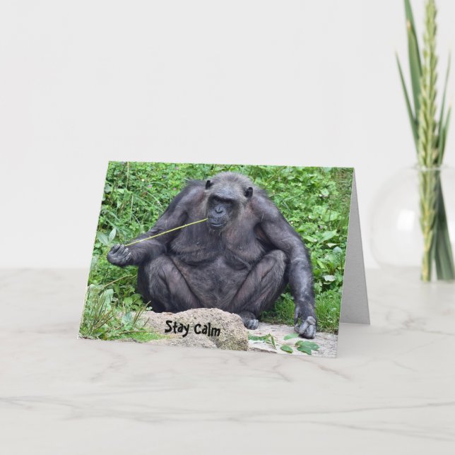 Birthday Chimpanzee Card (Front)