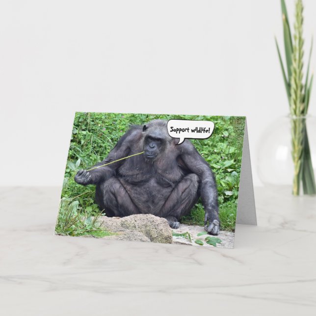 Birthday Chimpanzee humour Card (Front)