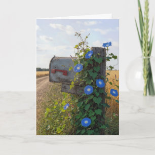 Birthday Country Mailbox with Morning Glories Card