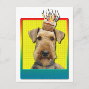 Birthday Cupcake - Airedale Postcard