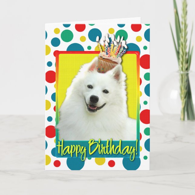 Birthday Cupcake - American Eskimo Card (Front)