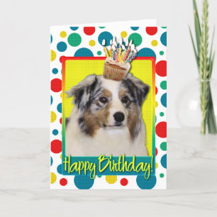 Birthday Cupcake - Australian Shepherd Card