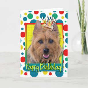 Birthday Cupcake - Australian Terrier Card