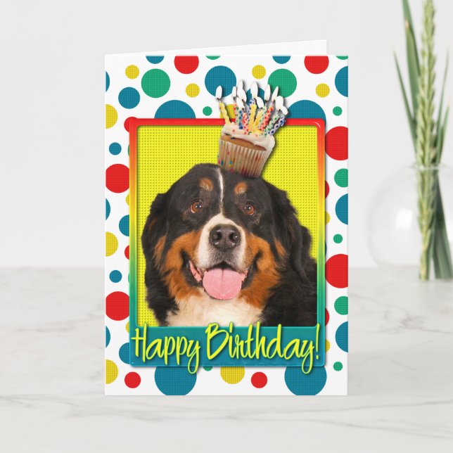 Birthday Cupcake - Bernese Mountain Dog Card (Front)