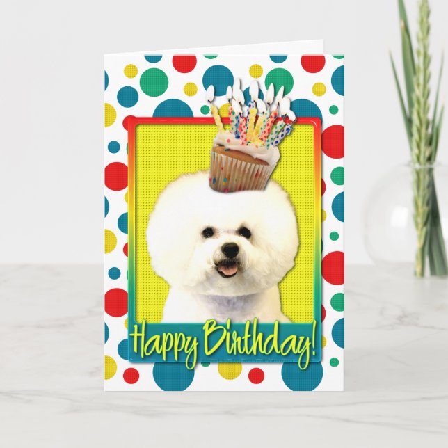 Birthday Cupcake - Bichon Frise Card (Front)