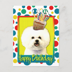 Birthday Cupcake - Bichon Frise Postcard