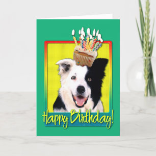 Birthday Cupcake - Border Collie Card