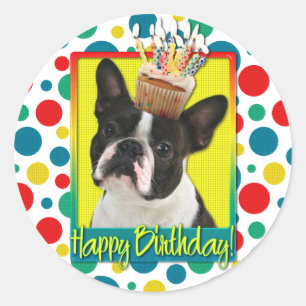 Birthday Cupcake - Boston Terrier Classic Round Sticker