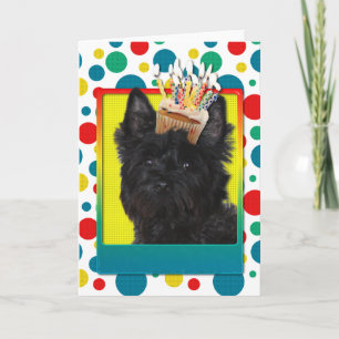 Birthday Cupcake - Cairn Terrier - Rosco Card