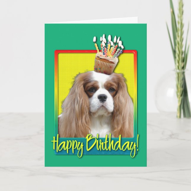 Birthday Cupcake - Cavalier - Blenheim Card (Front)