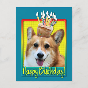 Birthday Cupcake - Corgi - Owen Postcard