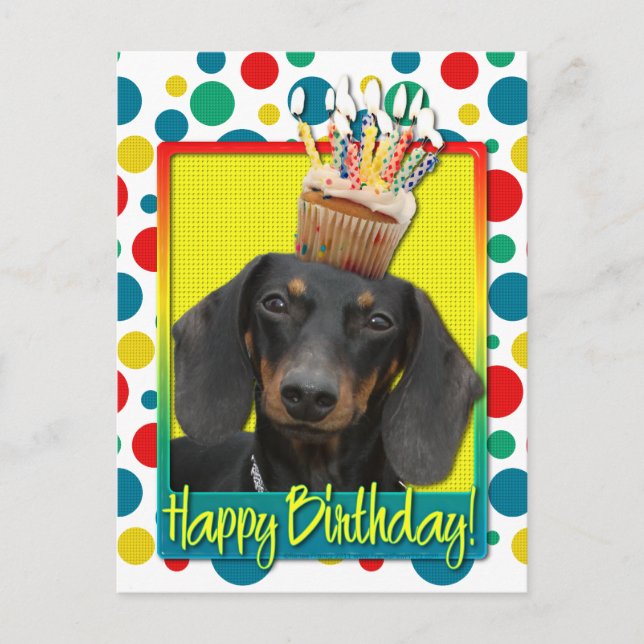 Birthday Cupcake - Dachshund - Winston Postcard (Front)