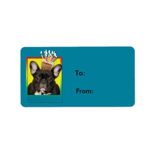 Birthday Cupcake - French Bulldog - Teal Label