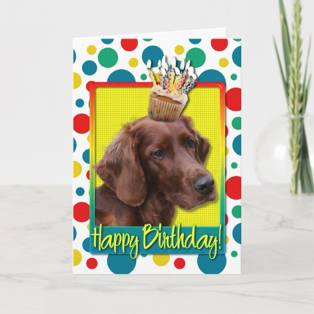 Birthday Cupcake - Irish Setter Card (Front)