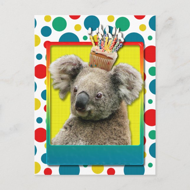 Birthday Cupcake - Koala Postcard (Front)