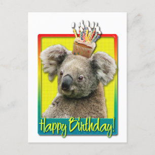 Birthday Cupcake - Koala Postcard