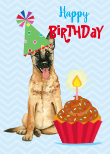 Belgian Malinois Cards Zazzle Au