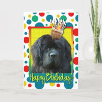 Birthday Cupcake - Newfoundland