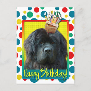 Birthday Cupcake - Newfoundland Postcard