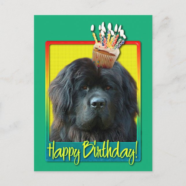 Birthday Cupcake - Newfoundland Postcard (Front)