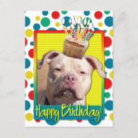 Birthday Cupcake - Pitbull - Jersey Girl