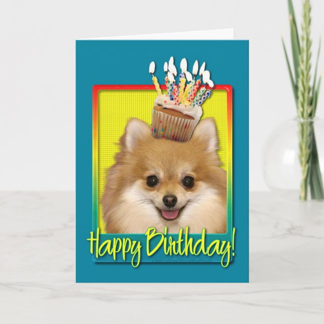 Birthday Cupcake Pomeranian Card (Front)