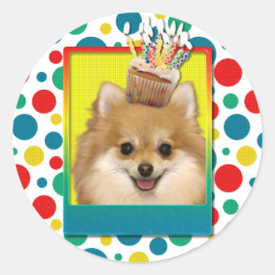 Birthday Cupcake - Pomeranian Classic Round Sticker