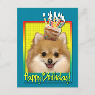 Birthday Cupcake Pomeranian Postcard
