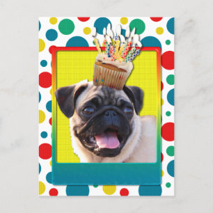 Birthday Cupcake - Pug Postcard