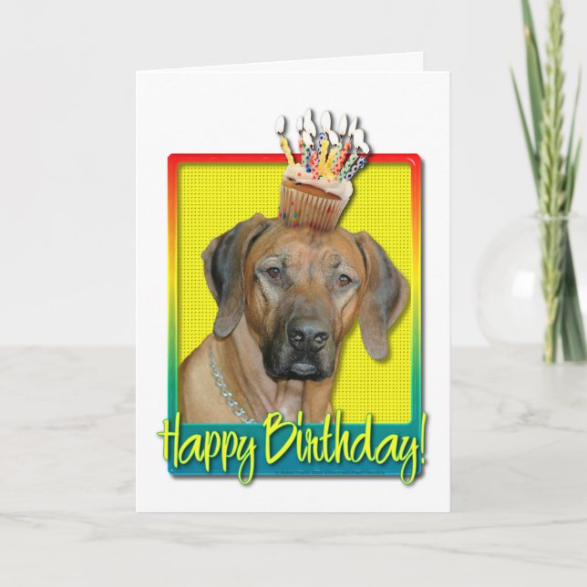 Birthday Cupcake - Rhodesian Ridgeback Card (Front)
