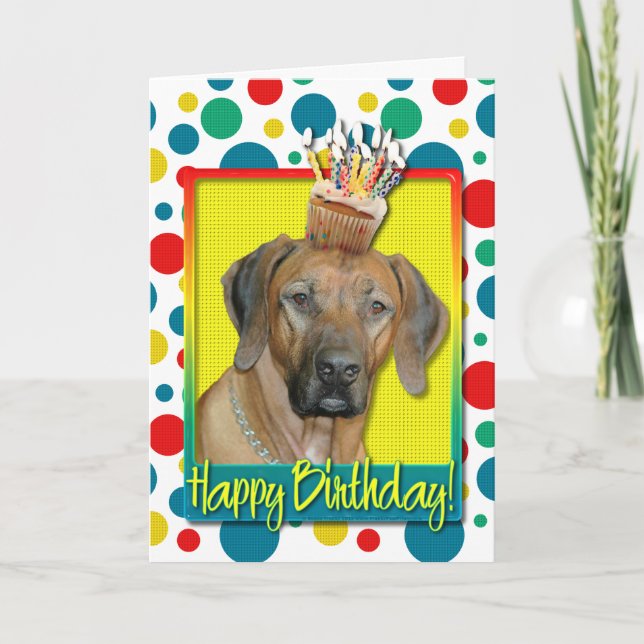 Birthday Cupcake - Rhodesian Ridgeback Card (Front)