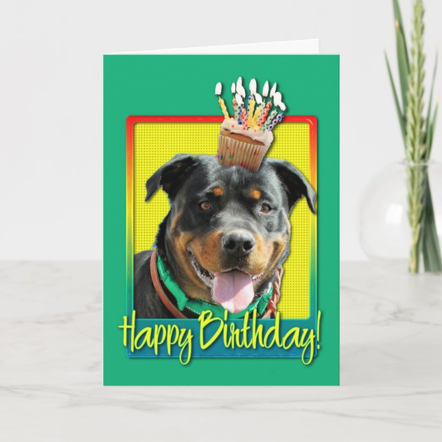 Birthday Cupcake - Rottweiler - SambaParTi Card (Front)