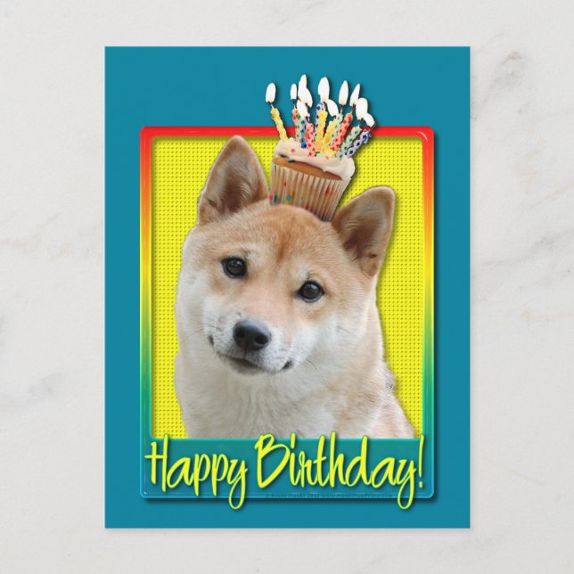 Birthday Cupcake - Shiba Inu Postcard (Front)